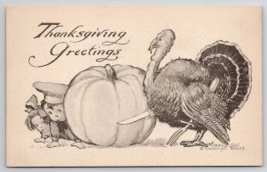 Thanksgiving Turkey With Knife Hiding Children Pumpkin Schlesinger Postcard V22