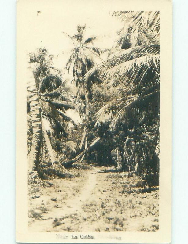 Pre-1949 rppc NICE VIEW La Ceiba Honduras i3864