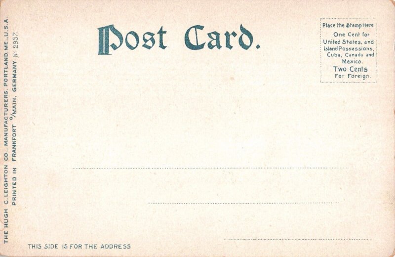 Lake Winnipesaukee N.H. Profile Rock and Tuftonboro Neck c.1904 Postcard A133