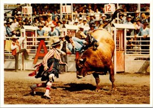 Canada Calgary Exhibition and Stampede Brahma Bull Riding