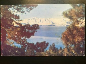 Vintage Postcard 1952 Snow Covered Sierras Lake Tahoe Nevada