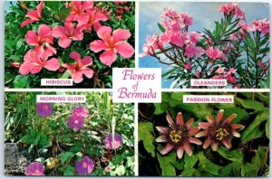 M-86494 Flowers of Bermuda British Overseas Territory