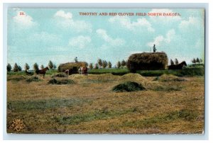 c1910s Timothy and Red Clover Field North Dakota ND Postcard Co Postcard 