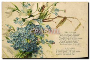 Old Postcard Fantasy Flowers Perce Neige