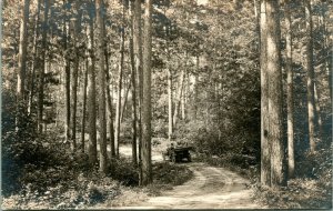 Vtg Postcard 1910s AZO Itasca Lake Minnesota MN Touring Car On Winding Road UNP