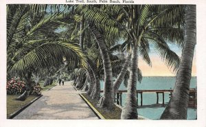 Lake Trail South, Palm Beach, Florida, Early Postcard, Unused