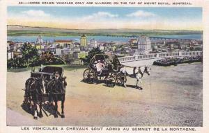 Horse Drawn Carriages - Mount Royal, Montreal QC, Quebec, Canada - Linen