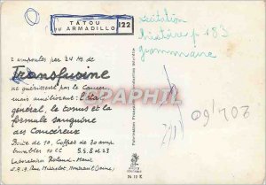 Modern Postcard Armadillo Armadillo Advertisement Transfusine