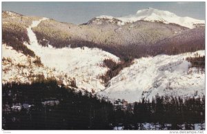 Whistler Mountain, Garibaldi Park, BRITISH COLUMBIA, Canada, 40-60s