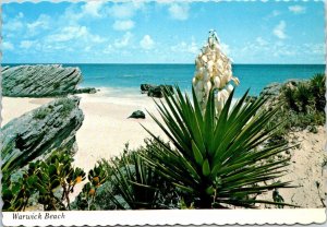 VINTAGE CONTINENTAL SIZE POSTCARD WARWICK BEACH BERMUDA POSTED 1981