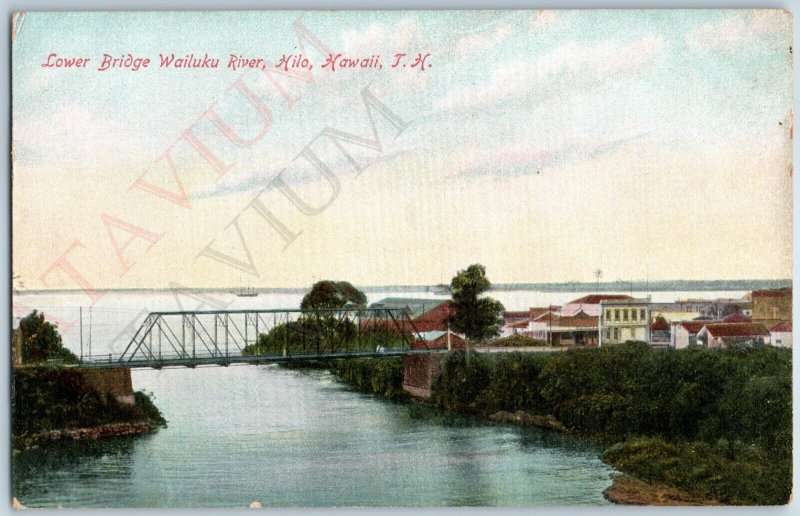 c1910s Hilo, HI Lower Bridge Wailuku River Downtown Aerial Hawaii Territory A188