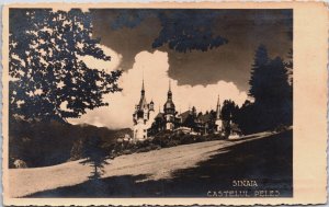 Romania Sinaia Castelul Peles Vintage RPPC C121