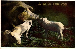 Pigs A Kiss For You