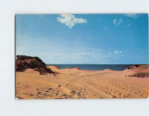 Postcard Sand Dunes, Cape Cod, Massachusetts