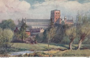 St. Albans, The Abbey, 1900-10s; TUCK 7752