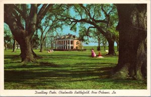 Postcard LA New Orleans - Duelling Oaks, Chalmettle Battlefield