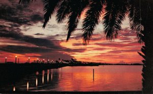 USA Spectacular Sight Clearwater Bay Florida Chrome Postcard 07.34