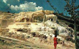 VINTAGE POSTCARD MINERVA TERRACE AT MAMMOTH YELLOWSTONE NATIONAL PARK