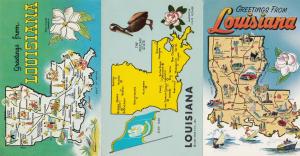 Greetings From Louisiana 3x Map Postcard s