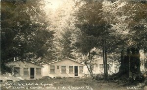 Postcard RPPC Photo California Crescent City Patterson Big Tree Park 22-13537