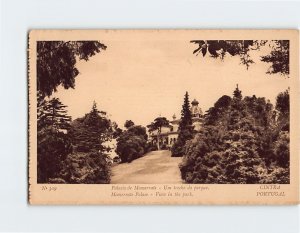 Postcard View in the Park, Monserrate Palace, Sintra, Portugal