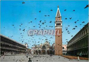 Modern Postcard Venezia St. Mark Flight of pigeons