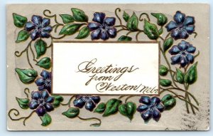GREETINGS From WESTON, NE ~ Embossed w/Flowers 1910 Saunders County Postcard