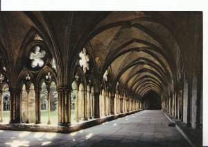 Wiltshire Postcard - Salisbury Cathedral - The Cloisters Walk - Ref ZZ4960