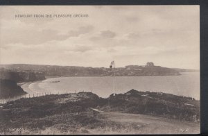 Cornwall Postcard - Newquay From The Pleasure Ground     RS9317