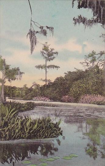 Florida Wakulla Springs On The Jungle Cruise Albertype