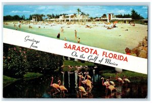 c1950 Greetings From Sarasota In The Gulf Of Mexico Florida FL Vintage Postcard