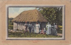 LP53   Jamaica, Antilles, Hut, Breadfruit Tree, ,    old 