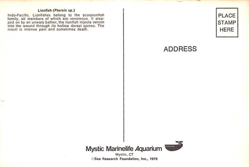 Lionfish Unused 