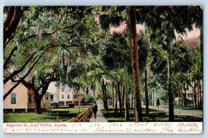 Daytona Florida FL Postcard Magnolia Street Residence Section Scene 1907 Antique