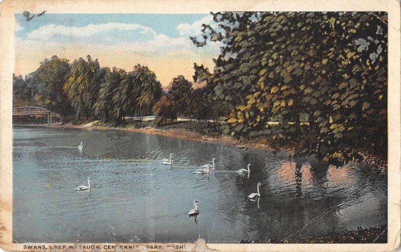 BR46465 Swans cigne lake watauga Centennial park Nashville   Tennessee