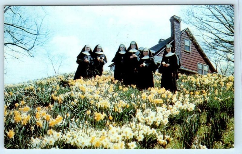 CLEVELAND, OH ~ Sisters of St. Joseph Convent DAFFODILL HILL NUNS 1967  Postcard