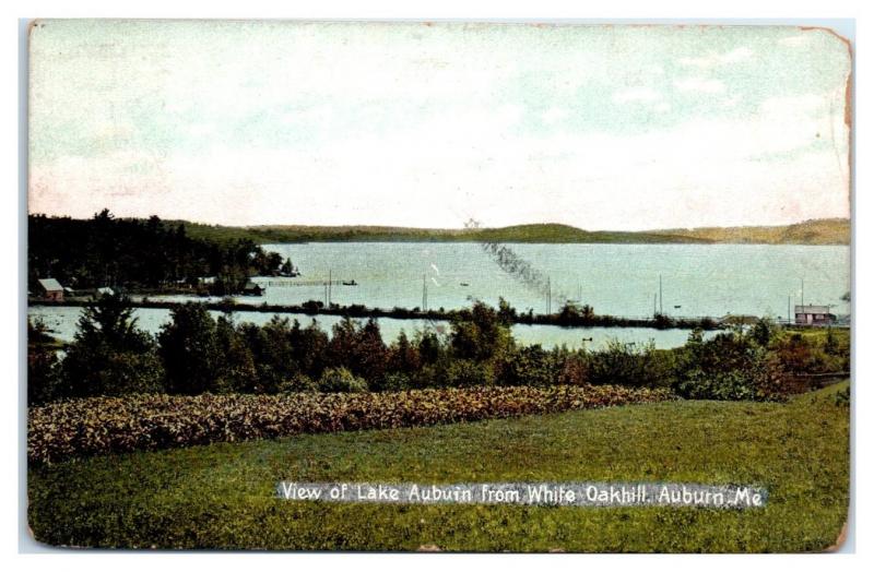 1907 Lake Auburn from White Oak Hill, Auburn, Maine Postcard