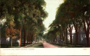 Connecticut New Haven Hillhouse Avenue 1908