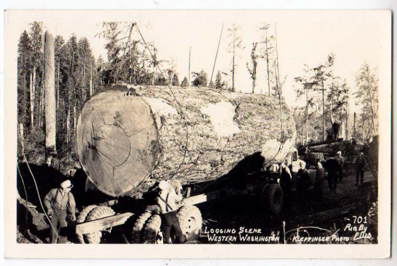 RPPC, Loging Scene, Western \ WA