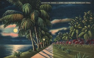 Vintage Postcard Adventure Ahead Down the Tropical Moonlight Trail Florida Fla.