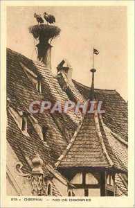 Old Postcard Obernai Storks Nest