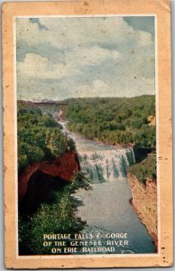 Portage Falls & Gorge Genesee River Erie Railroad NY c1914 Vintage Postcard M32