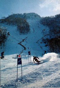 Japan Hokkaido Ski Running Race At Mt Teine Ski Ground