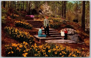 Vtg Many Louisiana LA Hodges Gardens 1960s View Old Chrome Postcard