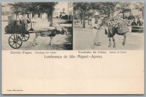 AZORES PORTUGAL SAO MIGUEL ISLAND SELLER OF FRUITS ANTIQUE POSTCARD