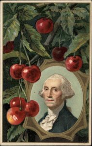 George Washington Patriotic Portrait Cherries Embossed Winsch c1910s Postcard