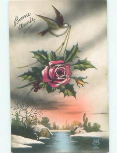 tinted rppc c1910 BEAUTIFUL FLOWERS AC9319