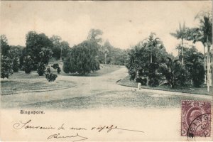 PC SINGAPORE, PARK VIEW, Vintage Postcard (B42266)