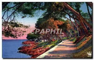 Old Postcard Menton Cap Martin