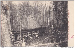 Canadian Hunting Scene, The Kennels 00-10s